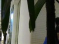 pickfame-show-episode-1-part-2-of-2.html