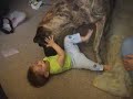 BIG dog playing with a baby