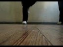 nomedigasdiv baila en el cole2