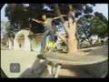 411 Video Magazine - Wheels of Fortune - Kurtis Colamonico