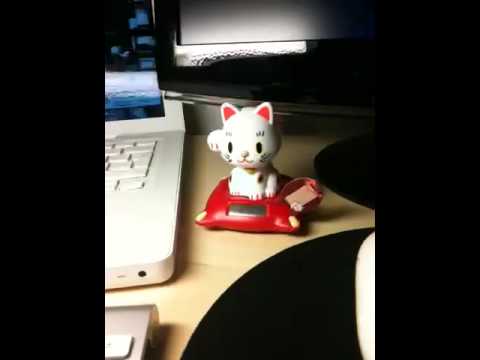 Gatito nipón
