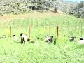 Organic Weed Control Organic Weed Control