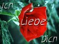 Cecco feat. Koolkaan - Bleib bei mir (Remix)
