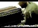 a new video for this attrition classic directed by russian film maker edward 209.
a girl called harmony was originally released in 1991 on the tricky business album. it is now available again as part of the best of collection 