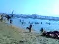 PALYA LARACHE