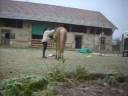 Produce_0tina et la selle  12 12 08.mpg