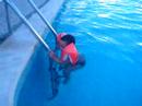 Zigui na Piscina Zigui na Piscina