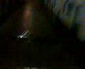videos de originale:rally con carrelli vol.1