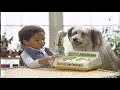 1988 Playskool Commercial 1988 Playskool Commercial