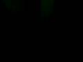 videos de Elcy noiada II