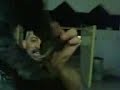 حيوان جديد يظهر في البصره يظهر فقط في الظلام ويبدء بظرب الشخص حتى الموت بمخالبه الحاده