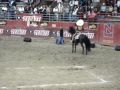 Ezequiel Pena