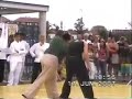 baji quan