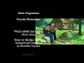 Wild Arms 2 Ending