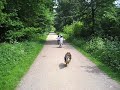 MVI_0078 On a mission!