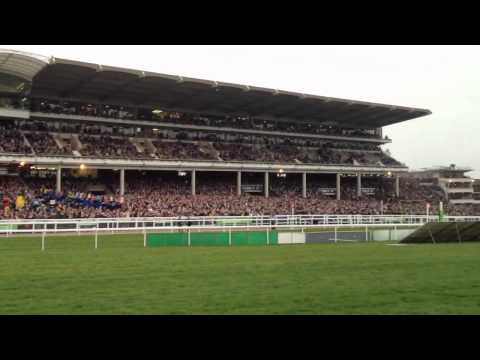 cheltenham races