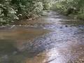videos de COSTA RICA LOTS FOR SALE IN MOUNTAINS CENTRAL PACIFIC COAST