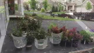 From this summer...Landscaping Project