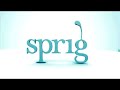 jack johnson   sprig interview