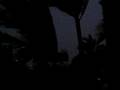 videos de Brisbane Storm