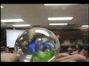 Physics with Mr. Noon: Reflection ...