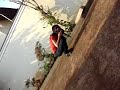 mamão da tiazinha mamão da tiazinha