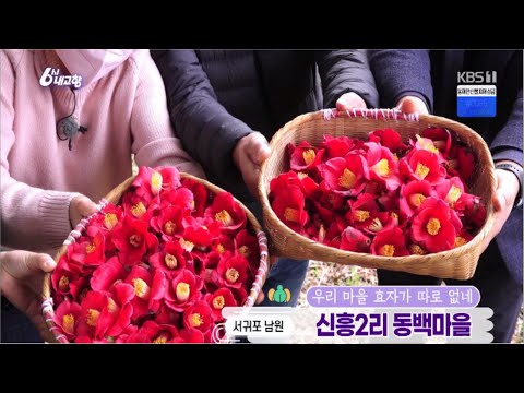 6시 내 고향 - 우리 마을 효자가 따로 없네! 동백마을
