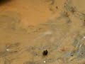 Innondation � Tanger (exclusif ouchen)