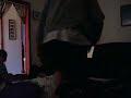 pig squealing homsexual