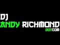 Andy Richmond-Pure Annihilation-R135 Tracks