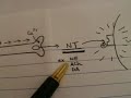 CNS Introduction