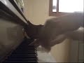 Slayers - somewhere (japanese version piano)