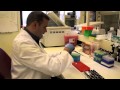 A drug used for cancer patients may reduce hospital-acquired infections in trauma patients 