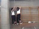 dia de gimnas