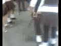 bailando en el cobach mexicali