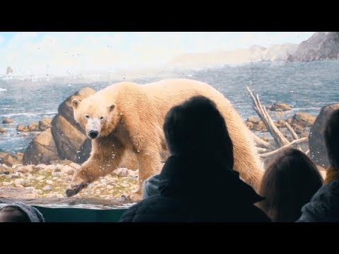 Rostock: Eis-n und Meereswelten im Rostocker Zoo - Expedition durch das Polarium