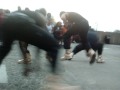 Alpha Phi Alpha Spring \