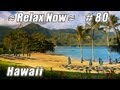 Klik hier om de video af te spelen
