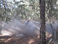 ATV IN THE WOODS WITH HMF PIPE ATV IN THE WOODS WITH HMF PIPE