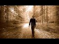 Gimbal - Alone in the dark