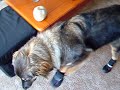 Luna\ Luna\