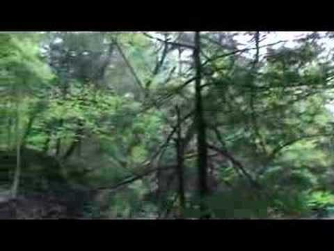 Waterfalls of Ricketts Glen State Park