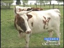 Discover Oklahoma-Overstreet Kerr Historical Farm