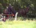 videos de Lits+Lauwers015 Mâlewei14