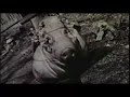 HOG CALLER-PREDESTINED FOR HELL
