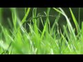 Panasonic HDC HS 100