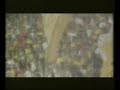 Crici�ma Campe�o da S�rie C Campeonato Brasileiro