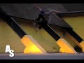 Exclusive 2009 Skateboard Montage Action-Spot.com Exclusive 2009 Skateboard Montage Action-Spot.com