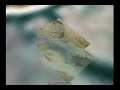 Secret Places of The Earth 2  (By Argosax)