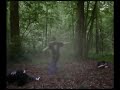LAMERS BLADESTORM LAMERS BLADESTORM